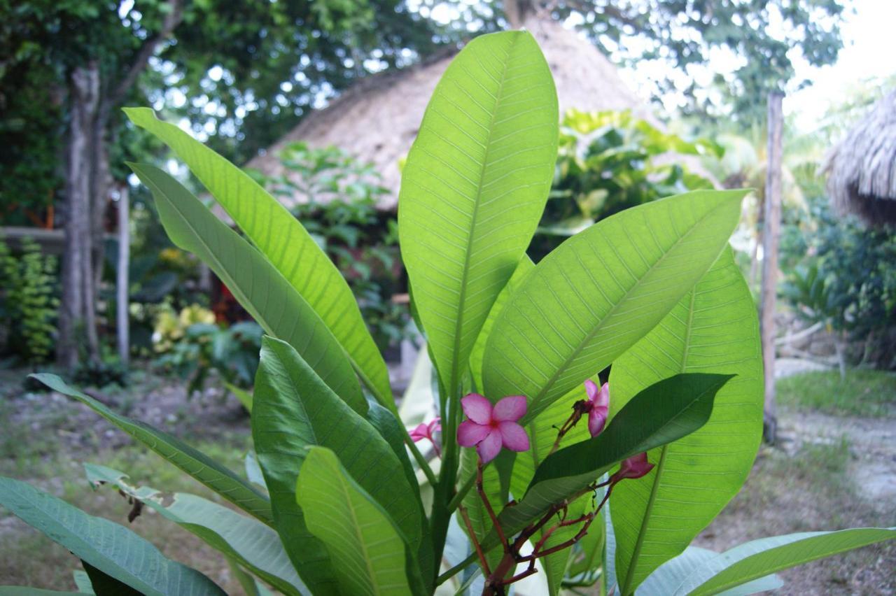 Hotel Pancho Villas Bacalar - Free Bikes And Paddles ภายนอก รูปภาพ